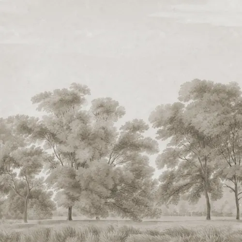 Scandinavian Forest