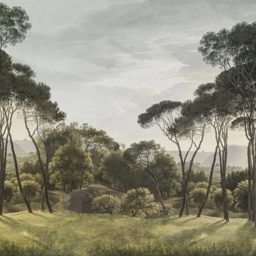 Tranquil Pine Glade