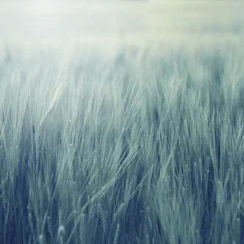 Magischer Horizont