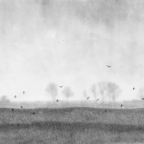 Paysage d'oiseaux revisité