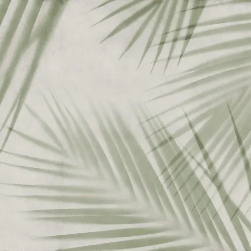 Serene Palmscape 