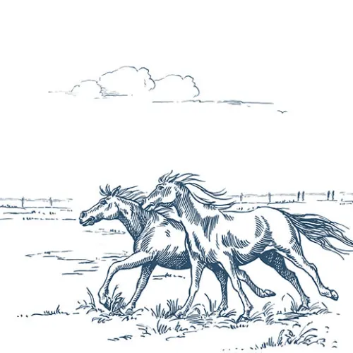 Gallop in Blue