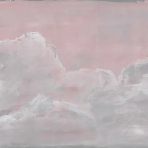 Blush Sky Wonders