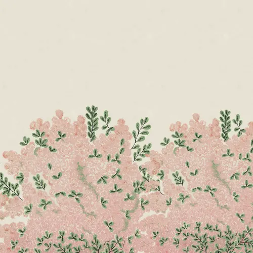 Delicate Pink Blossoms