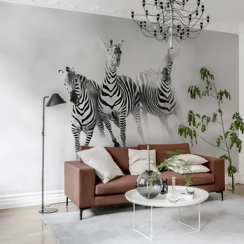 Graphic Zebras
