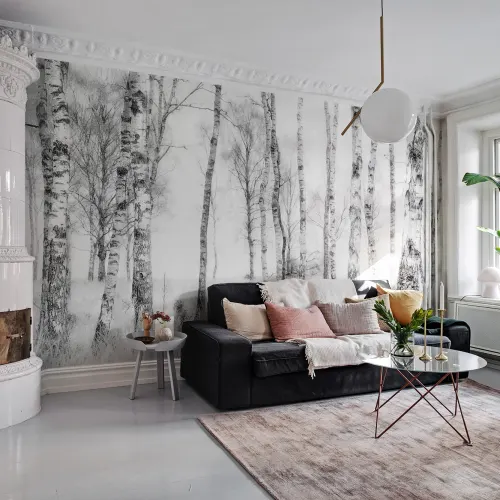 Birch Trees