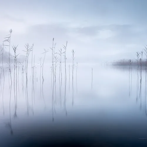 Calm Lake