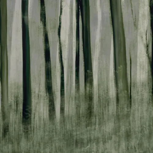 Painted Trees