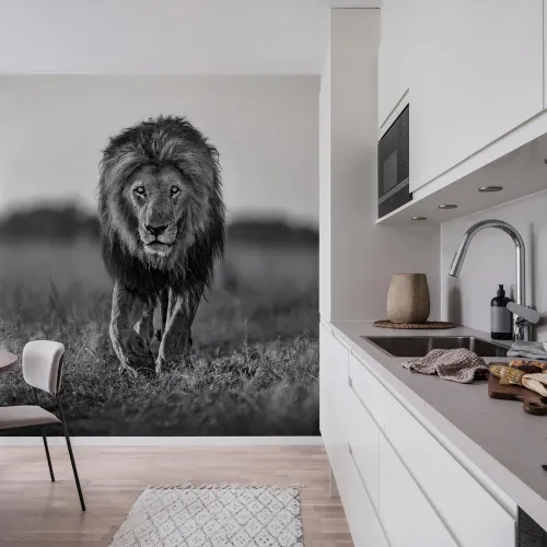 Lion King