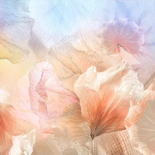 Pastel Petals
