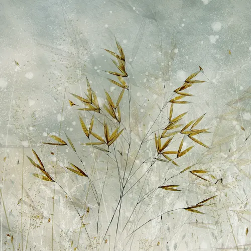 Golden Grain