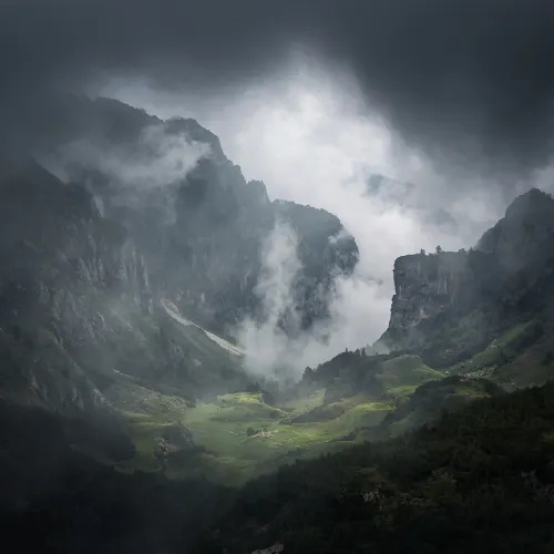 Foggy Valley