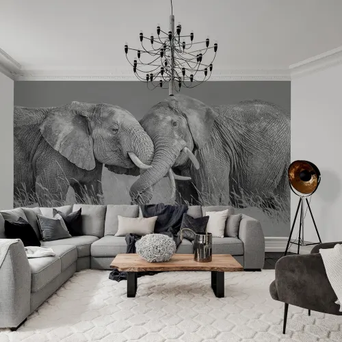 Elephant Hug