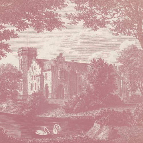 Swan Pond, Dusty Pink