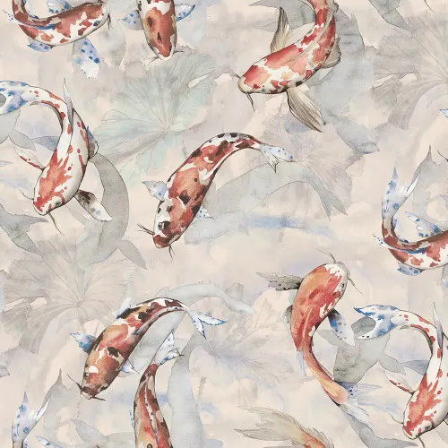 Koi, Coral