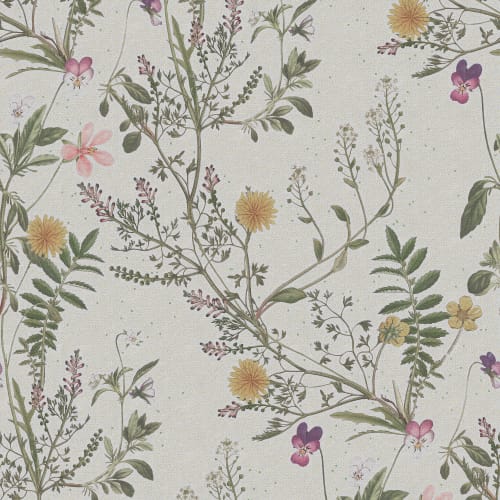 Storm Flowers, Seaweed	