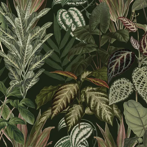 Image Leaf