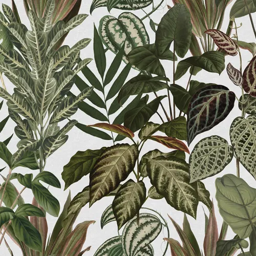 Mischievous Jungle, White