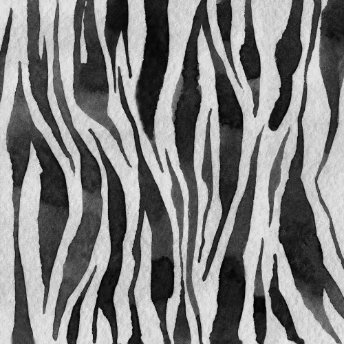 Zebra Stripes, Graphite