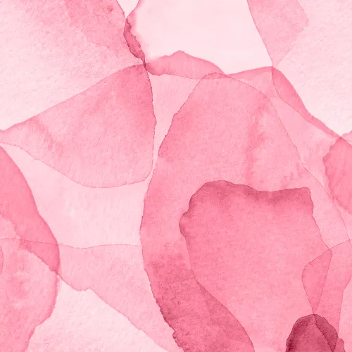 Petals, Magenta