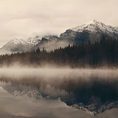 Die Elemente der Natur
