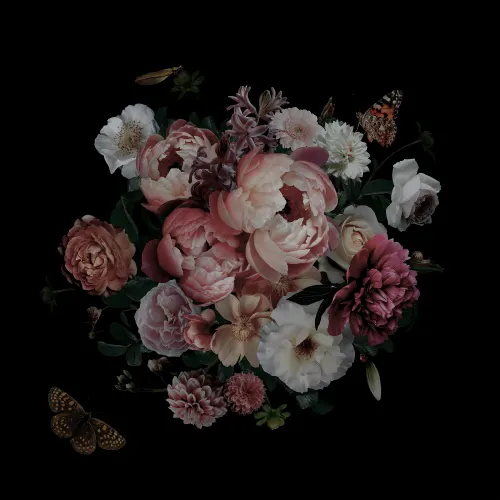 Flowers and butterflies