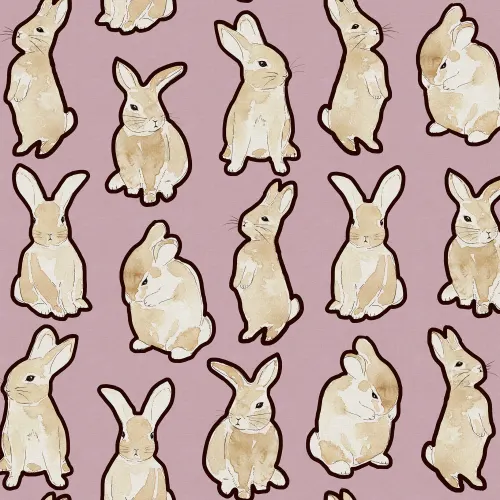 Sooo many rabbits!