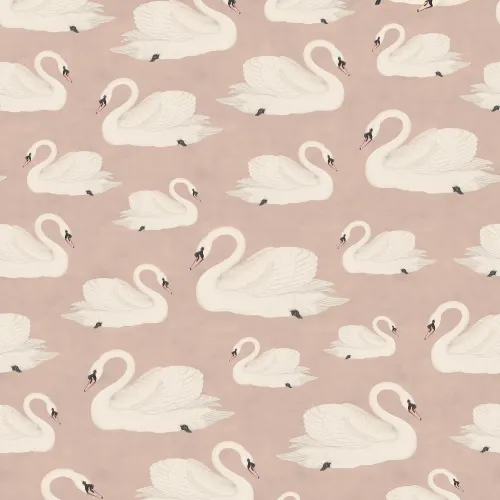 Graceful Swans