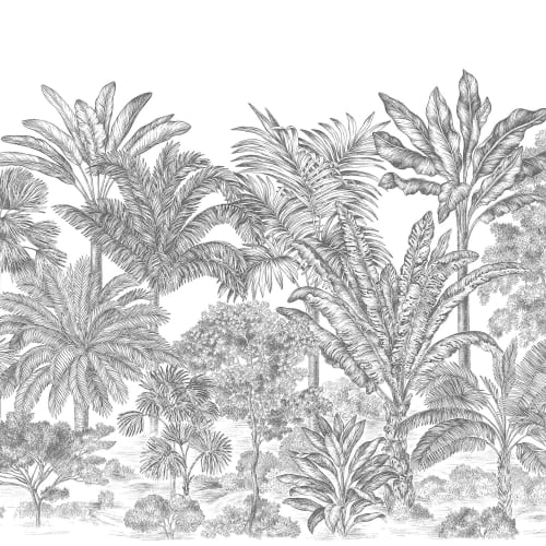 Une jungle givrée