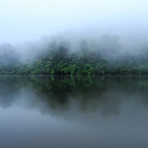 Hazy Lake