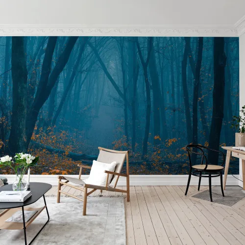 Hazy Forest