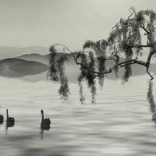 Zen Lake