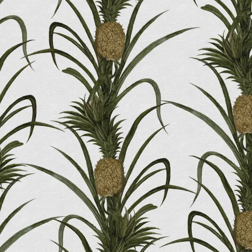 Create A Tropical Haven