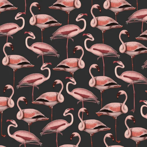 Fiesta de los flamencos