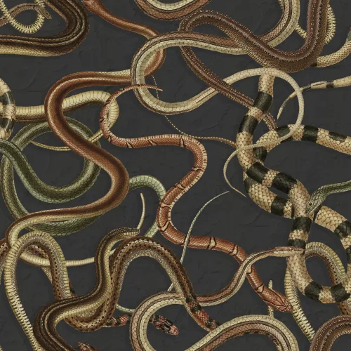 Un mur de serpents