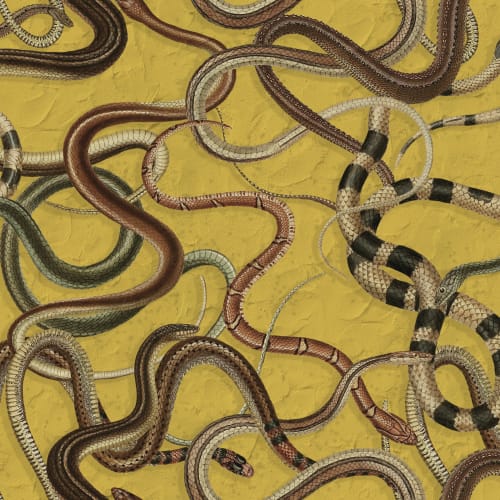Snakes On A Wall