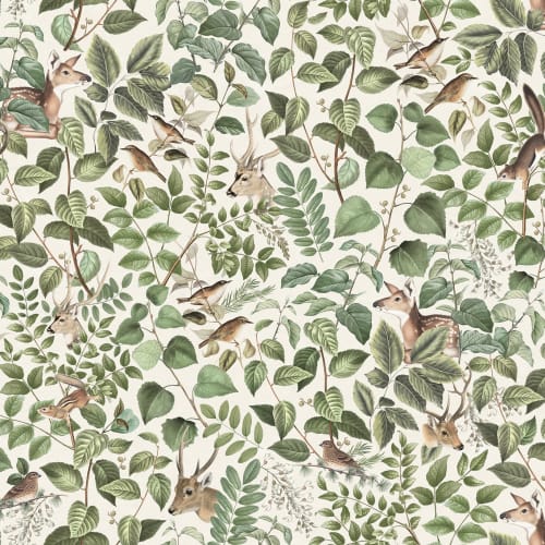 Avvicinarsi alla natura