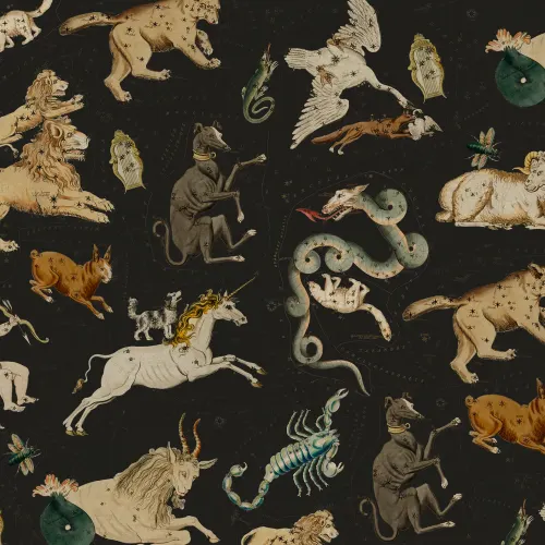 Zodiac Signs Comes to Life