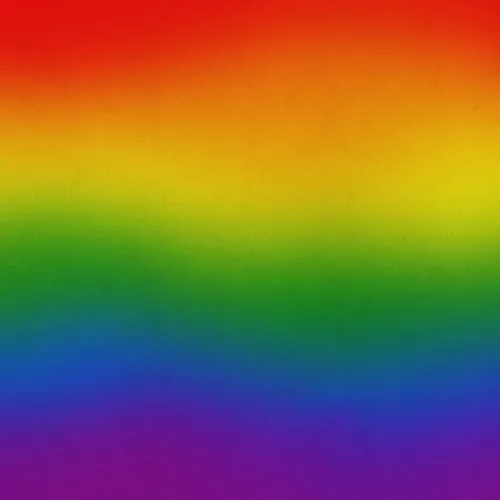 A Visual Symphony