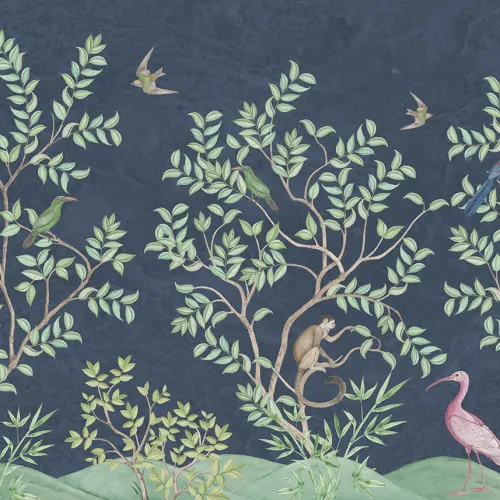 Beautiful Birds and Playful Monkeys