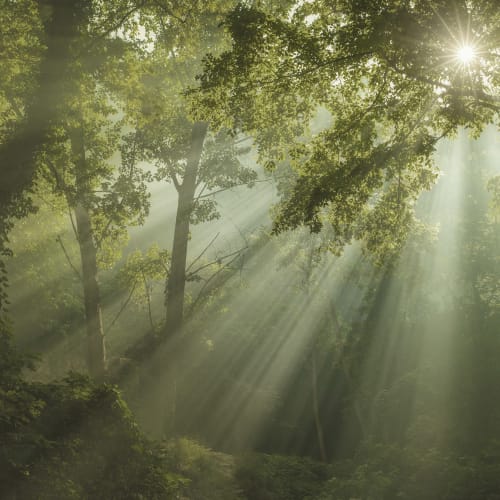Ausstrahlung der Natur