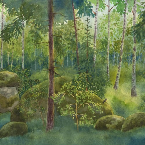 Un bosque de cuento