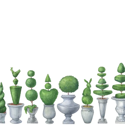 A vegetação urbana no seu melhor
