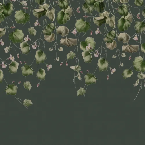 Nature's Graceful Curtain