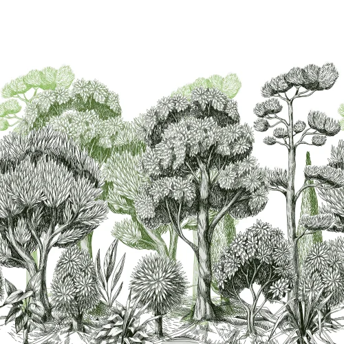 La majestuosidad monocromática de la naturaleza