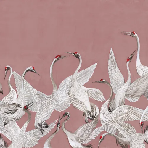 Cranes On a Pink Backdrop
