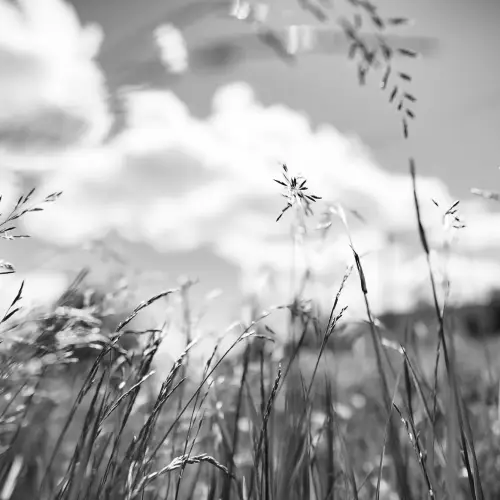 Serenità monocromatica