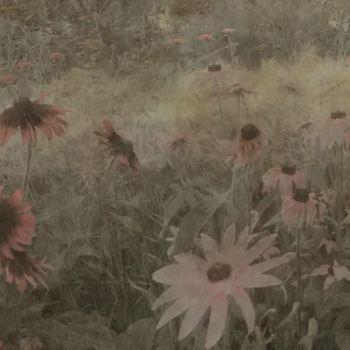 Textured Dreams
