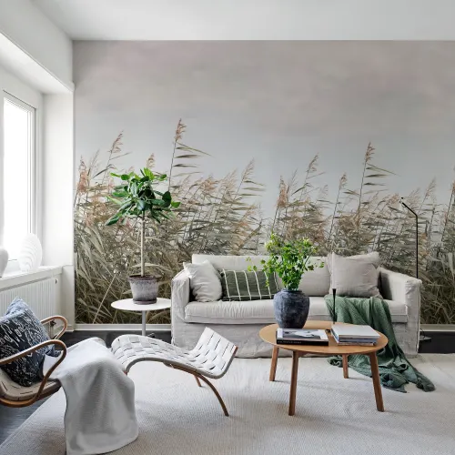 A Canvas of Restfulness 