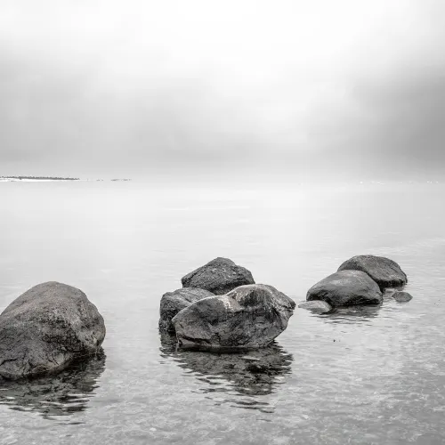 Serene Lakeside 